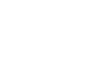 wandx